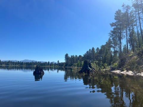 Home in the Mtns - Fragrance Free, Family Friendly House in Valley County