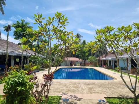 Day, Garden, Pool view, Swimming pool