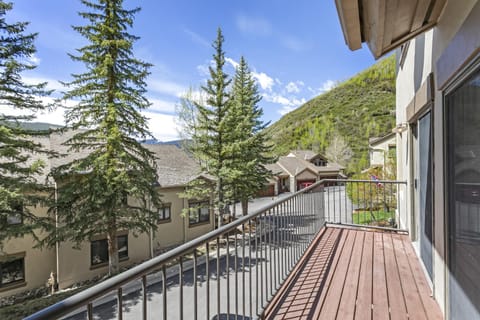 Vail Point 35 townhouse House in Vail