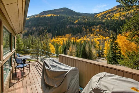 14J Pitkin Creek condo Apartment in Vail