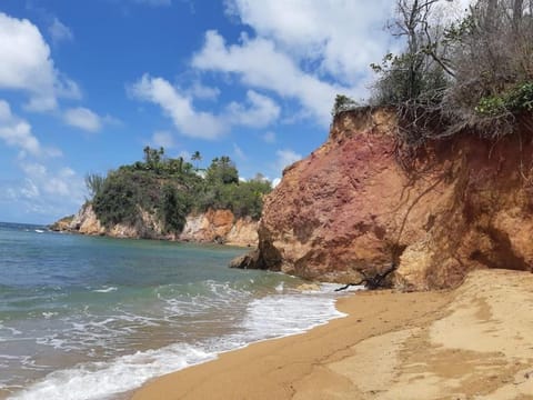 Cosy F3, vue forêt, proche littoral et son ponton Apartment in La Trinité