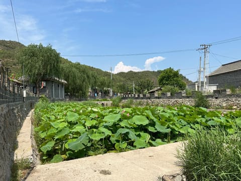 Huifangge Folk Inn Country House in Beijing