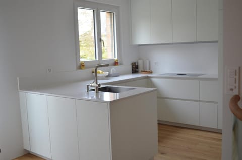 Kitchen or kitchenette, kitchen