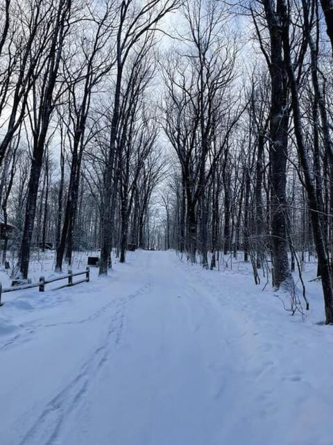 Natural landscape, Winter