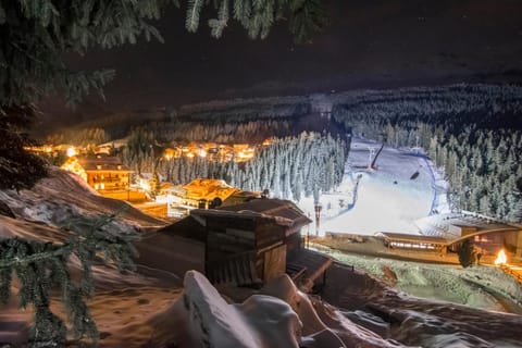 Natural landscape, Winter, Skiing