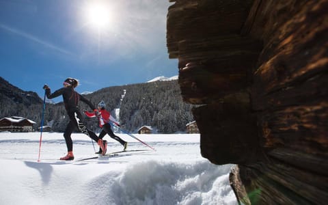 Winter, Ski School, Skiing, Sports