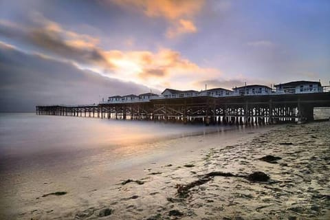 Pacific Beach Modern King Suite with Parking House in Mission Bay