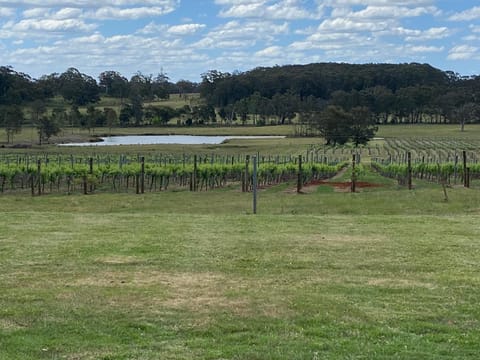 View (from property/room), Garden view, Lake view, Landmark view