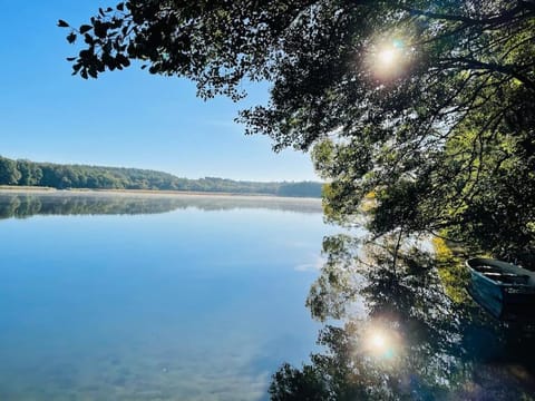 Lake view