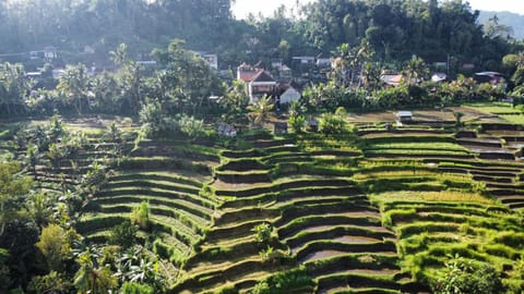 GJ Guest House Sidemen Bed and Breakfast in Sidemen