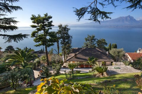 Patio, Garden, Garden view