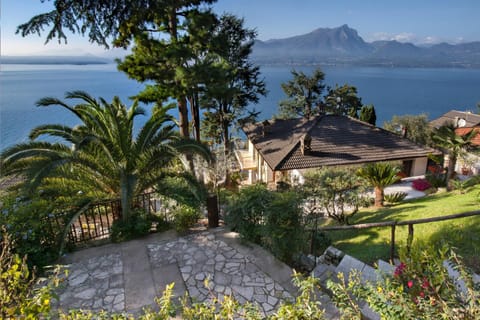 Patio, Garden, Garden view