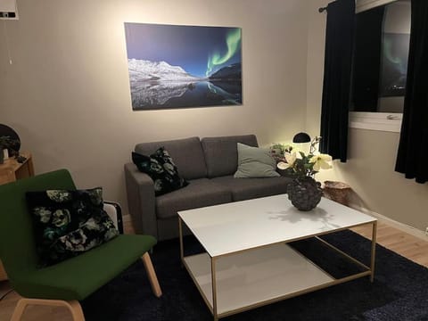 Northen Light, Aurora Apartment in Tromso