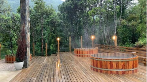 Parcela en bosque con terma House in Pucon