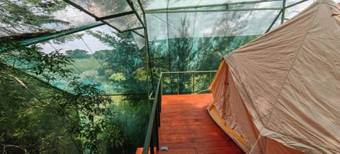 Glamping Butterflay Garden Luxury tent in Heredia Province