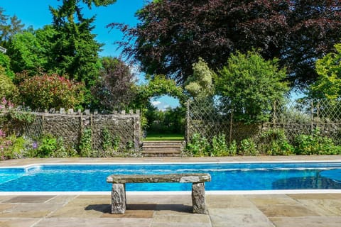 Garden, Pool view, Swimming pool