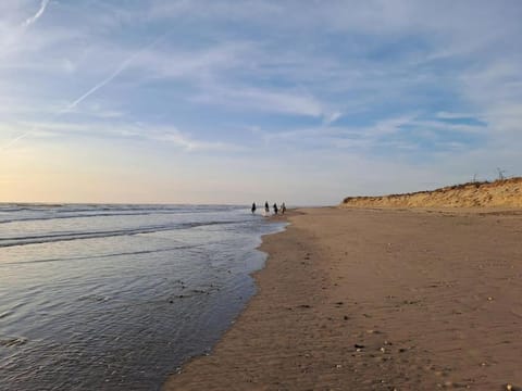 Natural landscape, group of guests