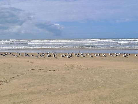 Natural landscape, Beach