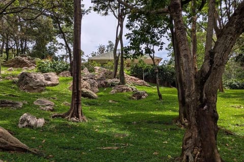 The Hamerkops Hideout Chalet in Kampala