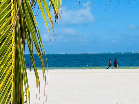 Oceanfront Paradise 3-br Condo in Cancun Hotel Zone Apartment in Cancun