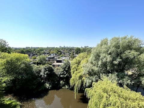 Natural landscape, Garden view, Lake view