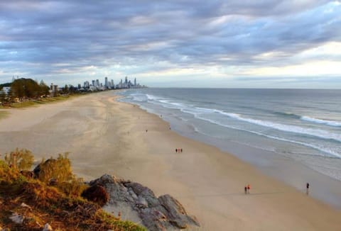 Top Floor Oasis Apartment in Burleigh Heads