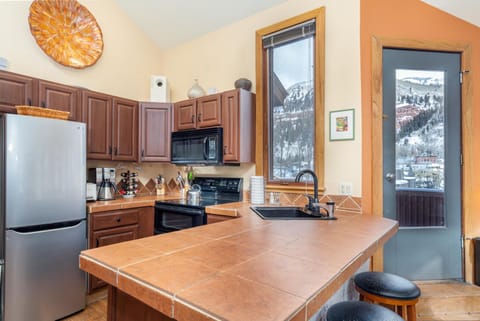 Centrally Located in Town, This 2 Bed and 2 Bath Manitou is a Must See House in Telluride