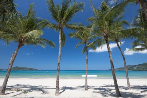 Nearby landmark, Day, Beach