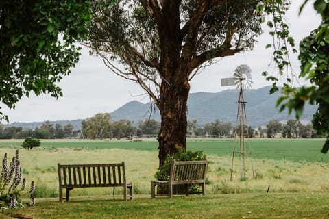 Garden, Mountain view