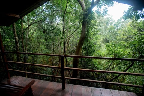 INN On The Tree Eco Resort Sigiriya Hotel in Dambulla