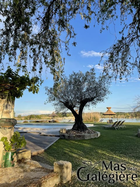 Garden, Lake view, Swimming pool