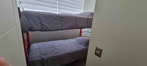 Bed, Photo of the whole room, Bedroom, bunk bed