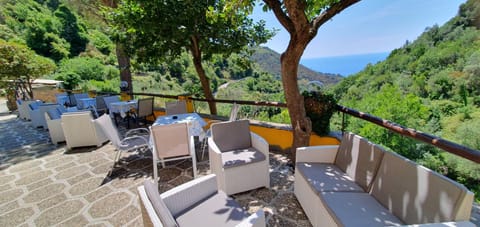 Garden, Balcony/Terrace