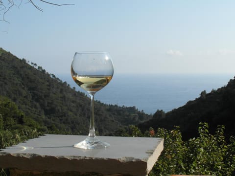 Balcony/Terrace, Alcoholic drinks