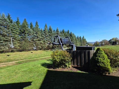 Top of the Slopes House in McHenry