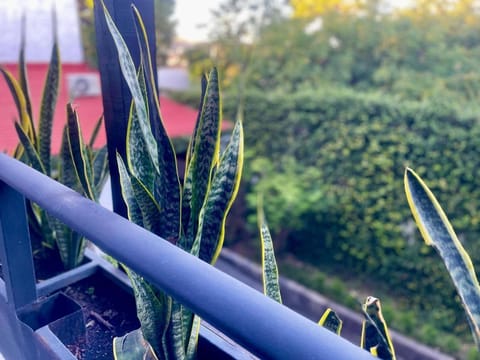 Patio, Balcony/Terrace