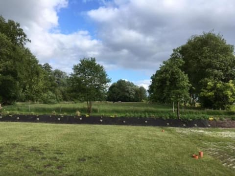 Natural landscape, Garden view