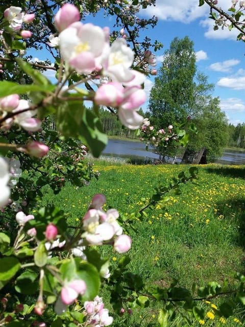 Neighbourhood, Natural landscape