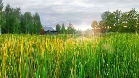 Neighbourhood, Natural landscape, Autumn, On site, Sunset