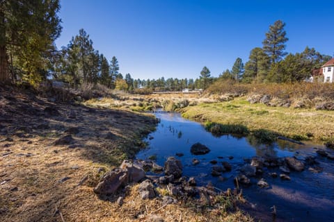 Shoreline Village Unit 5 cabin House in Pinetop-Lakeside