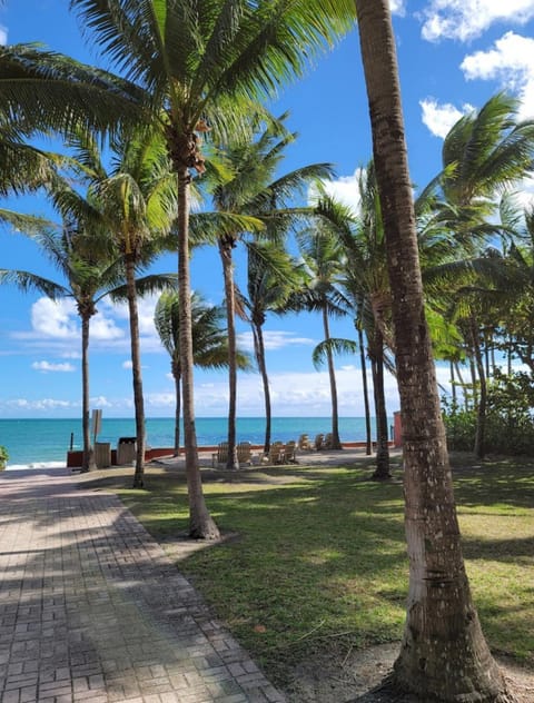 Natural landscape, Beach