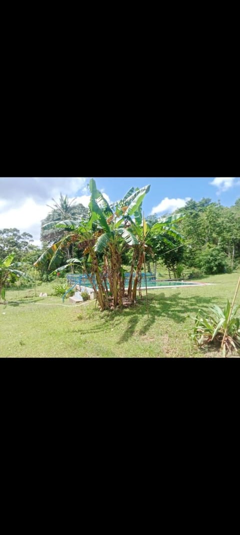 River Side La Tita's Place with swimming pool Country House in El Nido