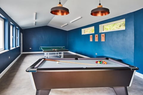 Billiard, Game Room, Table tennis