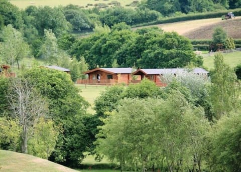 Heather Lodge with Hot Tub Chalet in Teignbridge