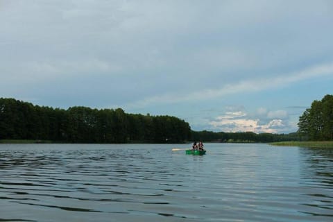 Natural landscape, Lake view, group of guests