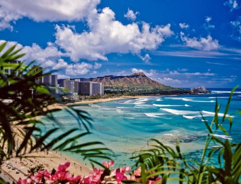 Radiant Luana Waikiki House in McCully-Moiliili