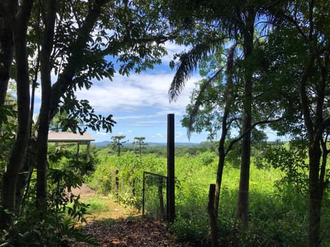 Tacuarita House in Misiones Province, Argentina