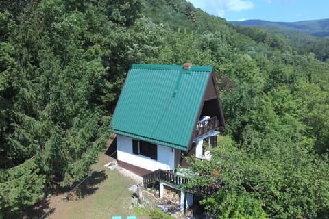 UNDER THE GREEN ROOF Chalet in Brod-Posavina County, Croatia