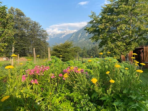 Sweet Bee Cottage Chalet in Bovec