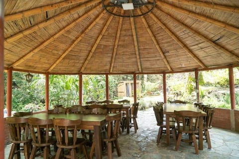 Patio, Restaurant/places to eat, Day, Garden, Banquet/Function facilities, Dining area